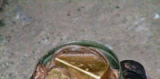 Dwie sztaby złota ukryte w puszce na maskę z IIWŚ sztabki złota