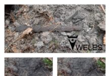 Mają ponad 1600 lat – żelazny grot oszczepu i nóż znalezione pod Toruniem