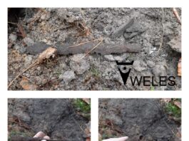 Mają ponad 1600 lat – żelazny grot oszczepu i nóż znalezione pod Toruniem