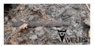 Mają ponad 1600 lat – żelazny grot oszczepu i nóż znalezione pod Toruniem