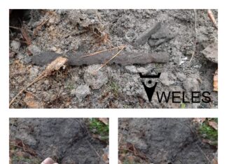 Mają ponad 1600 lat – żelazny grot oszczepu i nóż znalezione pod Toruniem