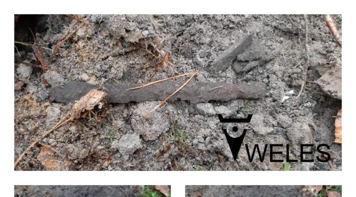 Mają ponad 1600 lat – żelazny grot oszczepu i nóż znalezione pod Toruniem