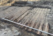 Jarosław. Jeden z najdłuższych drewnianych traktów przeskanowany laserowo Drewniana droga