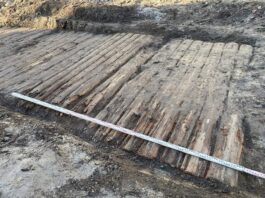 Jarosław. Jeden z najdłuższych drewnianych traktów przeskanowany laserowo Drewniana droga