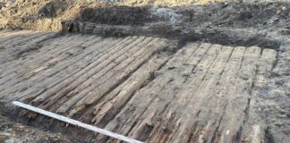 Jarosław. Jeden z najdłuższych drewnianych traktów przeskanowany laserowo Drewniana droga