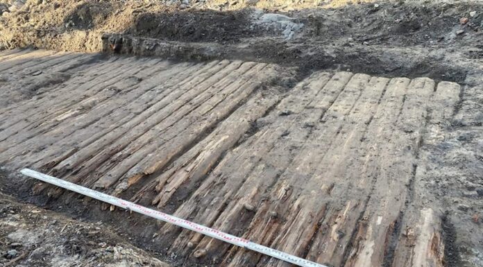 Jarosław. Jeden z najdłuższych drewnianych traktów przeskanowany laserowo Drewniana droga