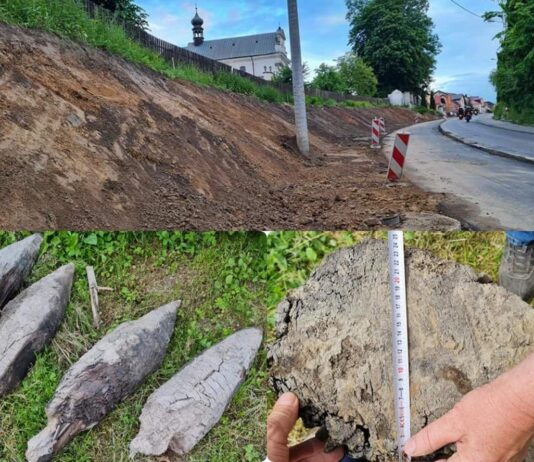 Ślady zapomnianego grodziska odkryto w Tarnogrodzie (GALERIA) Grodzisko odkryte w Tarnogrodzie