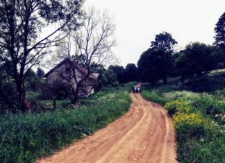 Radocyna – tropem opuszczonych wsi na Łemkowszczyźnie (GALERIA) Radocyna - tajemnicza opuszczona wieś na dawnej Łemkowszczyźnie
