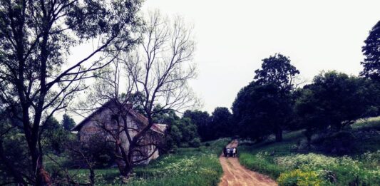 Radocyna – tropem opuszczonych wsi na Łemkowszczyźnie (GALERIA) Radocyna - tajemnicza opuszczona wieś na dawnej Łemkowszczyźnie