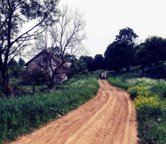 Radocyna – tropem opuszczonych wsi na Łemkowszczyźnie (GALERIA) Radocyna - tajemnicza opuszczona wieś na dawnej Łemkowszczyźnie