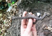 Ostroga, czyli rycerska zguba z Nieszawki (GALERIA) Świetnie zachowana średniowieczna ostroga