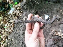 Ostroga, czyli rycerska zguba z Nieszawki (GALERIA) Świetnie zachowana średniowieczna ostroga