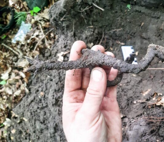 Ostroga, czyli rycerska zguba z Nieszawki (GALERIA) Świetnie zachowana średniowieczna ostroga