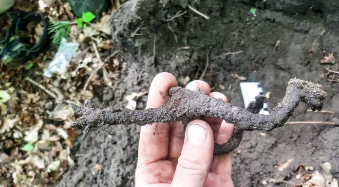 Ostroga, czyli rycerska zguba z Nieszawki (GALERIA) Świetnie zachowana średniowieczna ostroga