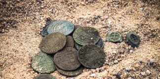 Skarb 99 srebrnych monet krzyżackich odkryty pod Toruniem! (GALERIA) skarb monet krzyżackich