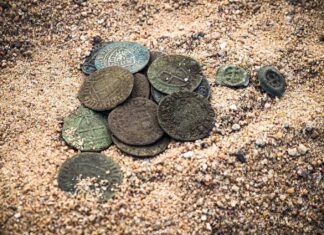Skarb 99 srebrnych monet krzyżackich odkryty pod Toruniem! (GALERIA) skarb monet krzyżackich