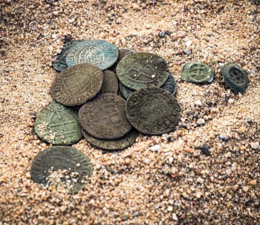 Skarb 99 srebrnych monet krzyżackich odkryty pod Toruniem! (GALERIA) skarb monet krzyżackich