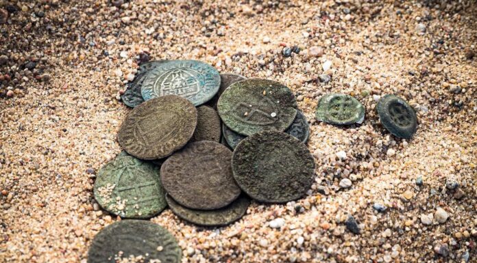 Skarb 99 srebrnych monet krzyżackich odkryty pod Toruniem! (GALERIA) skarb monet krzyżackich