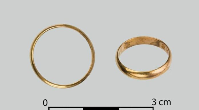 Kurierka AK jedną z ofiar mordu w chojnickiej Dolinie Śmierci – IPN szuka krewnych innych osób!