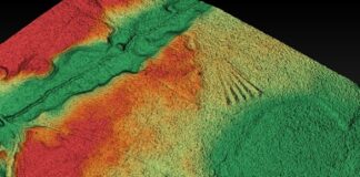 Archeolodzy szukają grobowców megalitycznych w Wielkopolsce Cmentarzysko megalityczne niedaleko Rokietnicy