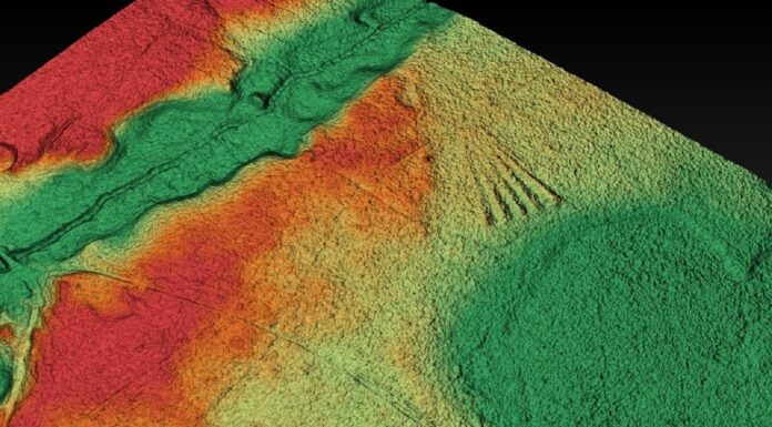 Archeolodzy szukają grobowców megalitycznych w Wielkopolsce Cmentarzysko megalityczne niedaleko Rokietnicy