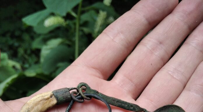 Słowiański amulet łowcy – niezwykły średniowieczny artefakt! amulet łowcy