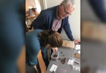 Skarb 109-ciu rzymskich monet z rzeki ukazał interesujące rytuały skarb rzymskich monet rzeka Aa Holandia