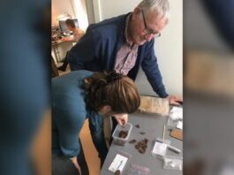 Skarb 109-ciu rzymskich monet z rzeki ukazał interesujące rytuały skarb rzymskich monet rzeka Aa Holandia