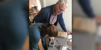 Skarb 109-ciu rzymskich monet z rzeki ukazał interesujące rytuały skarb rzymskich monet rzeka Aa Holandia