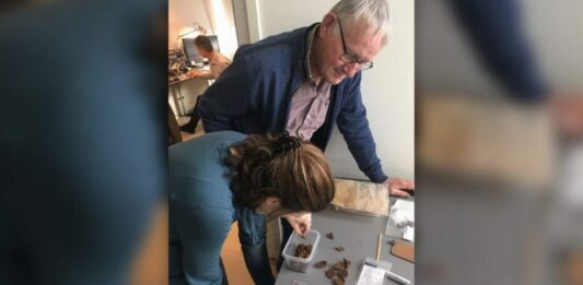 Skarb 109-ciu rzymskich monet z rzeki ukazał interesujące rytuały skarb rzymskich monet rzeka Aa Holandia