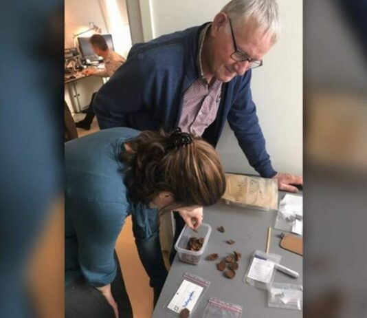 Skarb 109-ciu rzymskich monet z rzeki ukazał interesujące rytuały skarb rzymskich monet rzeka Aa Holandia