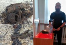 Lubuskie. Wczesnośredniowieczna kolczuga – wyjątkowe odkrycie amatora! (GALERIA) Wczesnośredniowieczna kolczuga