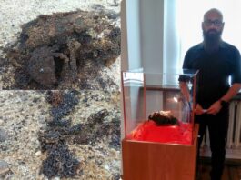 Lubuskie. Wczesnośredniowieczna kolczuga – wyjątkowe odkrycie amatora! (GALERIA) Wczesnośredniowieczna kolczuga