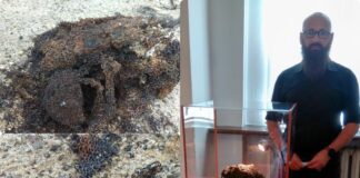 Lubuskie. Wczesnośredniowieczna kolczuga – wyjątkowe odkrycie amatora! (GALERIA) Wczesnośredniowieczna kolczuga