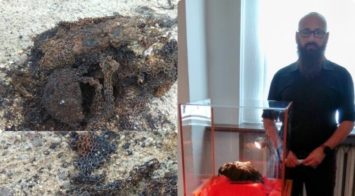 Lubuskie. Wczesnośredniowieczna kolczuga – wyjątkowe odkrycie amatora! (GALERIA) Wczesnośredniowieczna kolczuga