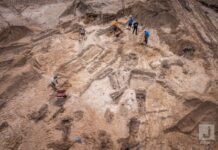 Dwa cmentarzyska oraz osady od neolitu – niezwykłe odkrycia na budowie w Mikołajkach! cmentarzysko w Mikołajkach