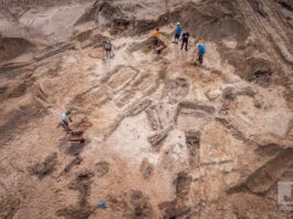 Dwa cmentarzyska oraz osady od neolitu – niezwykłe odkrycia na budowie w Mikołajkach! cmentarzysko w Mikołajkach