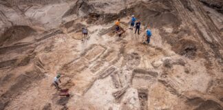 Dwa cmentarzyska oraz osady od neolitu – niezwykłe odkrycia na budowie w Mikołajkach! cmentarzysko w Mikołajkach