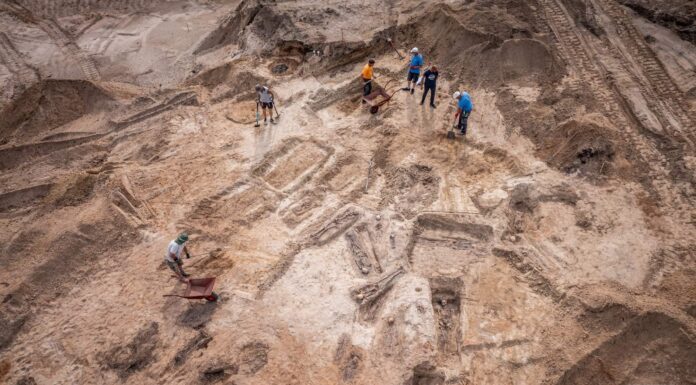 Dwa cmentarzyska oraz osady od neolitu – niezwykłe odkrycia na budowie w Mikołajkach! cmentarzysko w Mikołajkach