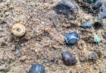 Archeolodzy odkryli w Wielkopolsce kurhan prząśniczek! kolia z paciorków