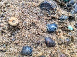 Archeolodzy odkryli w Wielkopolsce kurhan prząśniczek! kolia z paciorków