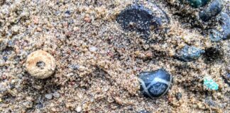 Archeolodzy odkryli w Wielkopolsce kurhan prząśniczek! kolia z paciorków