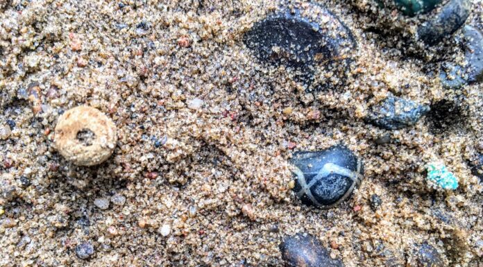 Archeolodzy odkryli w Wielkopolsce kurhan prząśniczek! kolia z paciorków