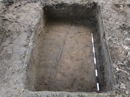 Bardzo rzadką broń białą z VIII w. odkryto w Wdeckim Parku Krajobrazowym (GALERIA) Długi miecz bojowy