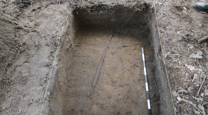 Bardzo rzadką broń białą z VIII w. odkryto w Wdeckim Parku Krajobrazowym (GALERIA) Długi miecz bojowy