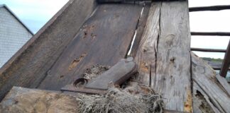 Świętokrzyskie. Rozbierali dach stodoły i znaleźli pistolet Ukryty na belce pistolet Parabellum