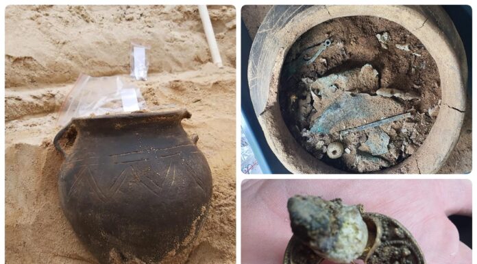 Pomorskie. Ogromne starożytne cmentarzysko ukazało kolejny niezwykły skarb! (GALERIA) popielnica lunula kultura wielbarska