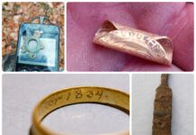 Odkrywa skarby na Pomorzu – znalazł złotą monetę i wiele więcej (GALERIA) poszukiwania złota moneta obrączka