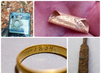 Odkrywa skarby na Pomorzu – znalazł złotą monetę i wiele więcej (GALERIA) poszukiwania złota moneta obrączka