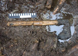 Archeolodzy po 31 latach wrócili do badań średniowiecznego stanowiska na wyspie Ledniczka Średniowieczny topór